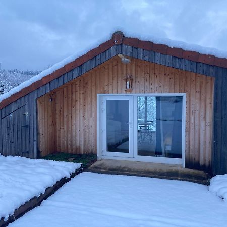 Le Chalet Dans La Nature Saulcy-sur-Meurthe Luaran gambar