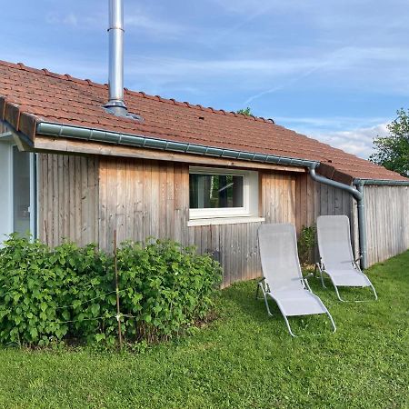 Le Chalet Dans La Nature Saulcy-sur-Meurthe Luaran gambar