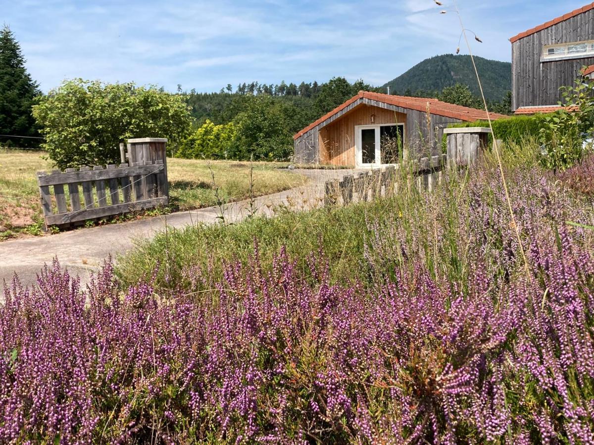 Le Chalet Dans La Nature Saulcy-sur-Meurthe Luaran gambar