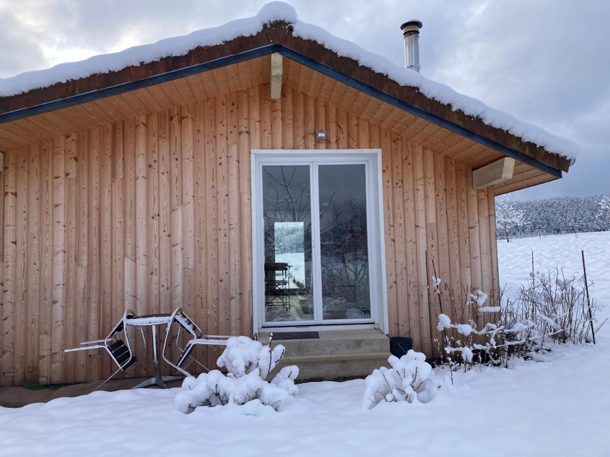 Le Chalet Dans La Nature Saulcy-sur-Meurthe Luaran gambar